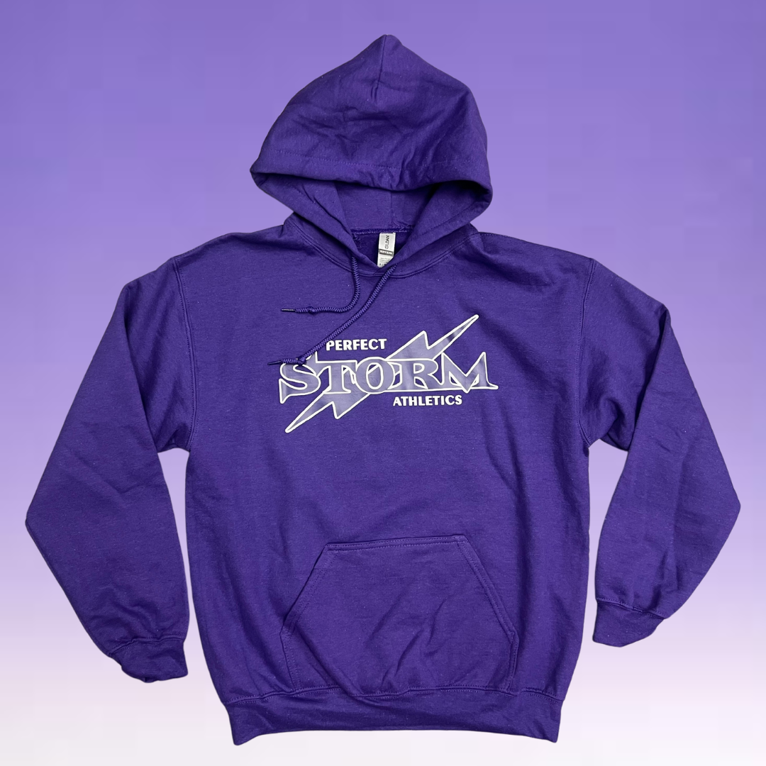 Hoodie - Purple - Classic Logo - LAST ONE Adult Medium $50