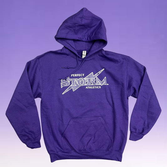 Hoodie - Purple - Classic Logo - LAST CHANCE!