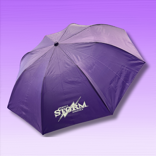 Purple Storm Umbrella