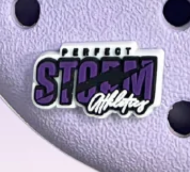 Storm Croc Charms