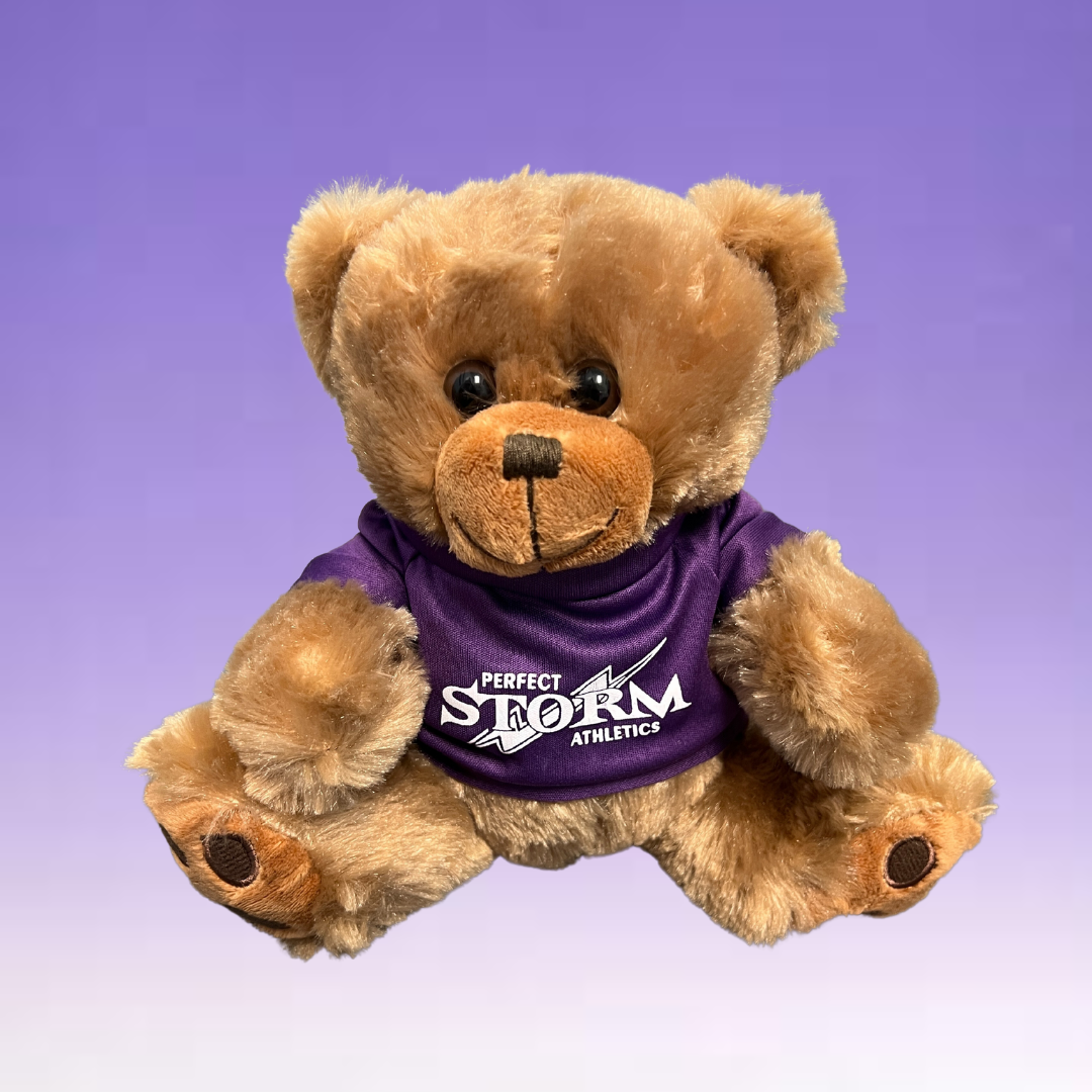 Teddy Bear - Large