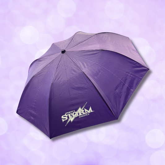 Purple Storm Umbrella