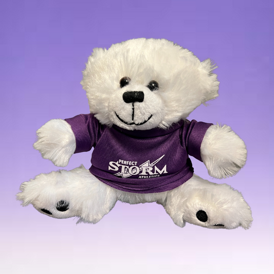 Storm Teddy Bear - Small