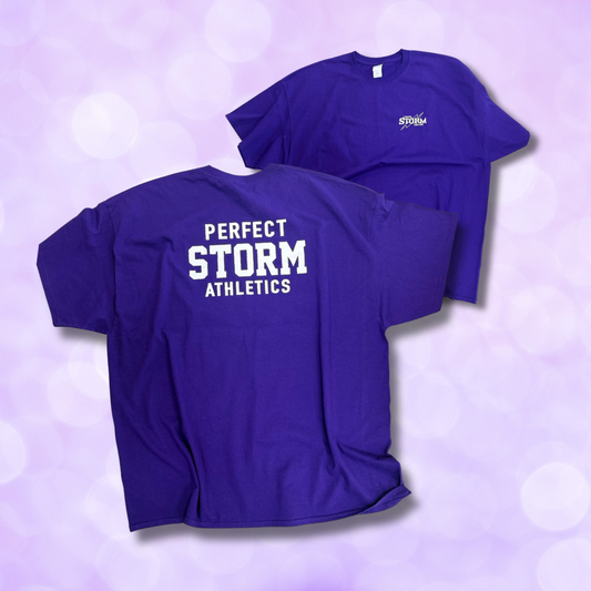 T-Shirt - Purple - ONLY ONE 3XL