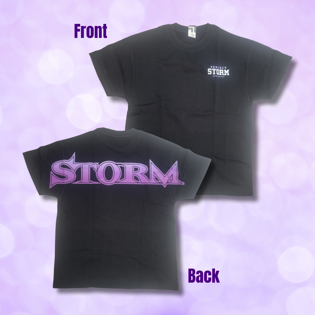 T-Shirt - Heavyweight, Storm Across Back NEW