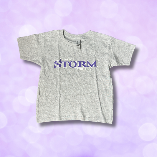 T-Shirt - Light Grey - Size 5T (Toddler)